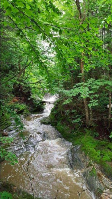 La Spacieuse Riverstone Citq3O1849 Saint Pierre de Broughton 외부 사진